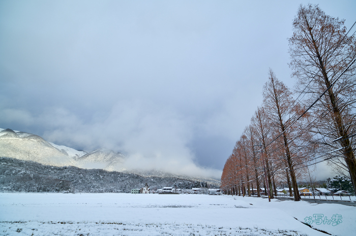 ✨イルミネーション最強✨CANON EOS 50D✨広角レンズ✨サクサク撮れる ✨イルミネーション最強✨CANON EOS 50D✨広角レンズ✨サクサク撮れる